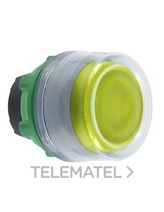 CABEZA PULS.LUMIN.XB5 AM.CPON.TP LED GR