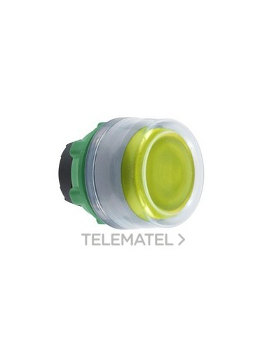 CABEZA PULS.LUMIN.XB5 AM.CPON.TP LED GR