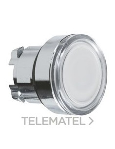 CABEZA PULS.LUMIN.XB4 LED RAS.BL CUSTO