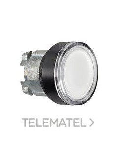 CBZA.PULS.LUMIN.XB4 LED RAS.BL EMB.NG