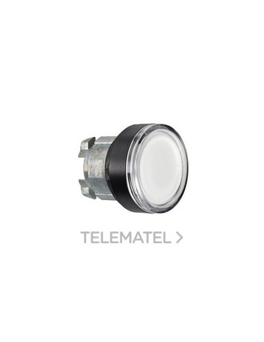 CBZA.PULS.LUMIN.XB4 LED RAS.BL EMB.NG