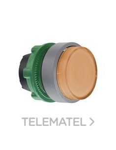 CABEZA PULS.LUMIN.STE.XB5 NJ.LED GR