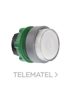 CABEZA PULS.LUMIN.STE.XB5 BL LED