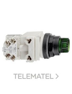 CABEZA PULS.LUMIN.STE.VD 24V