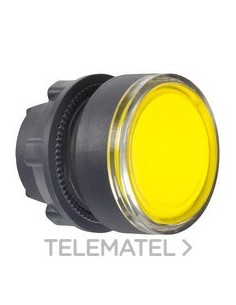 CABEZA PULS.LUMIN.RAS.PULSAR-PULSAR AM.