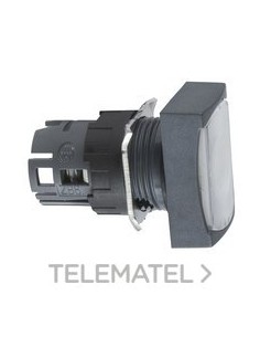 CABEZA PULS.LUMIN.RAS.ENGCH.BL RTGLAR.