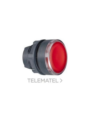 CABEZA PULS.LUMIN.LED RAS.P-P RJ