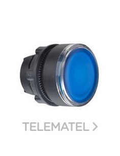 CABEZA PULS.LUMIN.LED RAS.P-P AZ