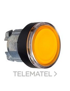 CABEZA PULS.LUMIN.LED RAS.AM.EMB.NG