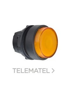 CABEZA PULS.LUMIN.d.22 STE.AM.EPLA.