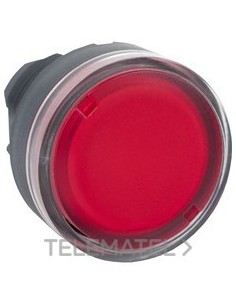 CABEZA PULS.LUMIN.d.22 RAS.RJ EPLA.