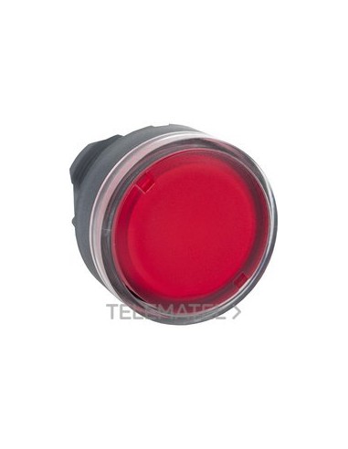 CABEZA PULS.LUMIN.d.22 RAS.RJ EPLA.