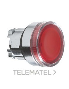 CABEZA PULS.LUMIN.d.22 RAS.RJ EMET.