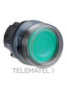 CABEZA PULS.LUMIN.d.22 RAS.CPON.VD