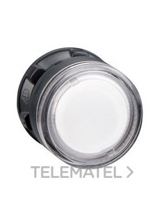 CABEZA PULS.LUMIN.d.22 RAS.INCOL.EPLA.