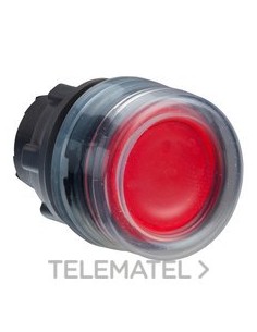 CABEZA PULS.LUMIN.d.22 RAS.CPON.RJ