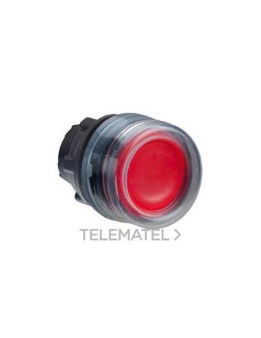 CABEZA PULS.LUMIN.d.22 RAS.CPON.RJ