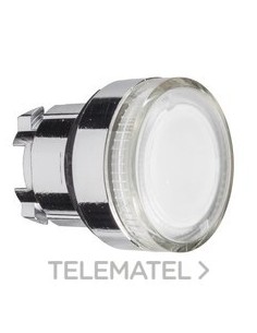 CABEZA PULS.LUMIN.d.22 RAS.INCOL.EMET.