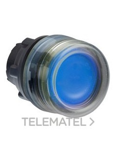 CABEZA PULS.LUMIN.d.22 RAS.CPON.AZ