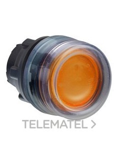 CABEZA PULS.LUMIN.d.22 RAS.CPON.AM.