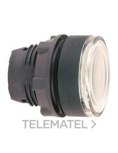 CABEZA PULS.LUMIN.d.22 RAS.BL EPLA.