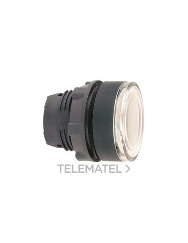 CABEZA PULS.LUMIN.d.22 RAS.BL EPLA.