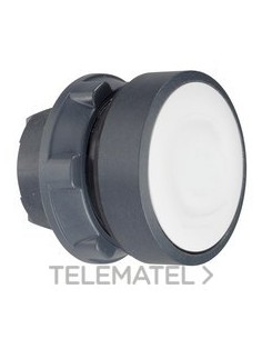 CABEZA PULS.LUMIN.d.22 RAS.BL EPLA.