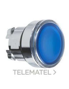 CABEZA PULS.LUMIN.d.22 RAS.AZ EMET.