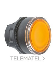 CABEZA PULS.LUMIN.d.22 RAS.AM.EPLA.