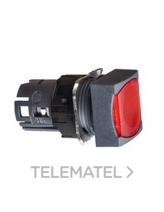 CBZA.PULS.LUMIN.d.16 RAS.IMPULS.RJ CUAD.