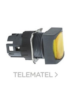 CBZA.PULS.LUMIN.d.16 RAS.IMPULS.AM.CUAD.