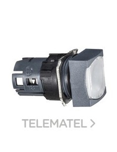 CABEZA PULS.LUMIN.d.16 RAS.ENGCH.BL