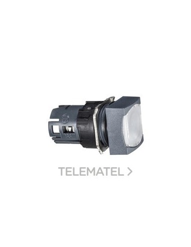 CABEZA PULS.LUMIN.d.16 RAS.ENGCH.BL