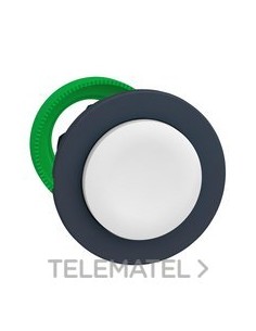 CABEZA PULSADOR FLUSH SALIENTE BLANCO