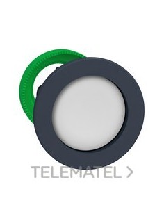 CABEZA PULSADOR FLUSH REBAJADO BLANCO