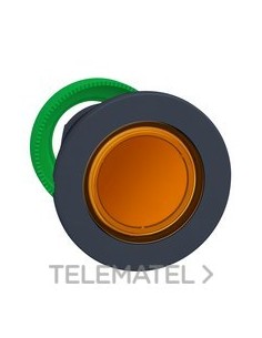 CABEZA PULS.FLUSH LUMIN.NJ.LED