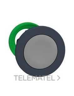 CABEZA PULSADOR FLUSH GRIS