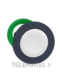 CABEZA PULSADOR FLUSH BLANCO