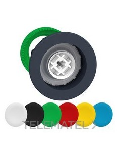 CABEZA PULS.FLUSH C/6 PL.COLORE