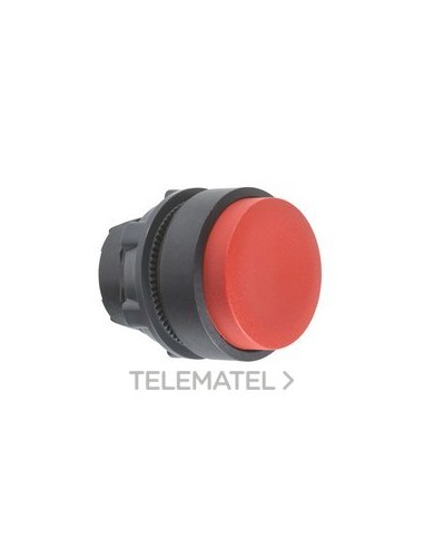 CABEZA PULS.d.22 STE.RJ EPLA.