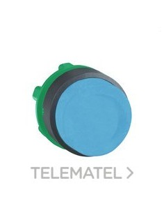 CABEZA PULS.d.22 STE.AZ EPLA.