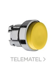 CABEZA PULS.d.22 STE.AM.EMET.