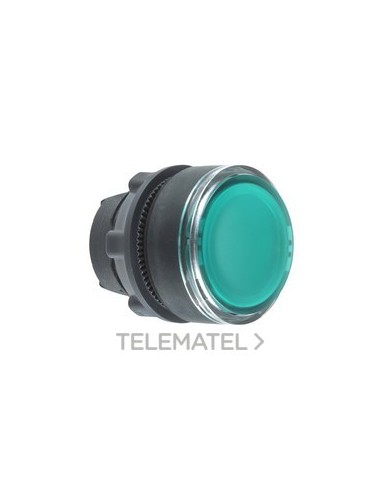 CABEZA PULS.d.22 RAS.TP VD EPLA.