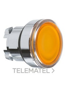 CABEZA PULS.d.22 RAS.TP AM.EMET.