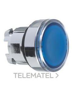 CABEZA PULS.d.22 RAS.TP AZ EMET.