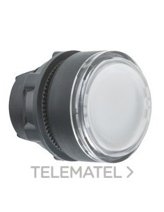 CABEZA PULS.d.22 RAS.TP BL EPLA.