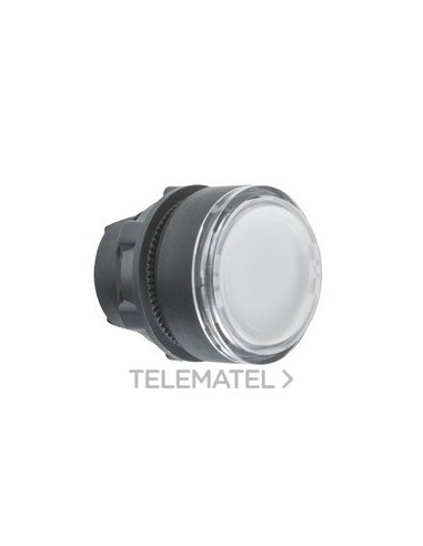 CABEZA PULS.d.22 RAS.TP BL EPLA.