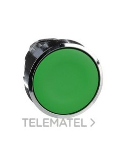 CABEZA PULS.d.22 RAS.S/PL.VD EMET.