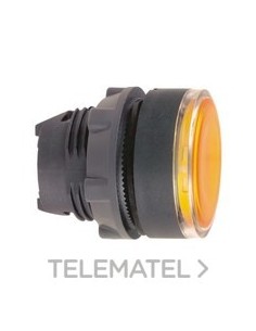 CABEZA PULS.d.22 RAS.TP AM.EPLA.