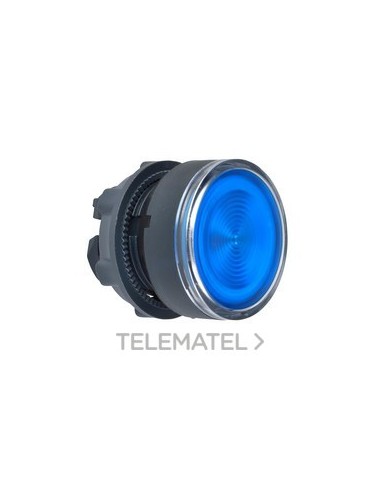 CABEZA PULS.d.22 RAS.TP AZ EPLA.